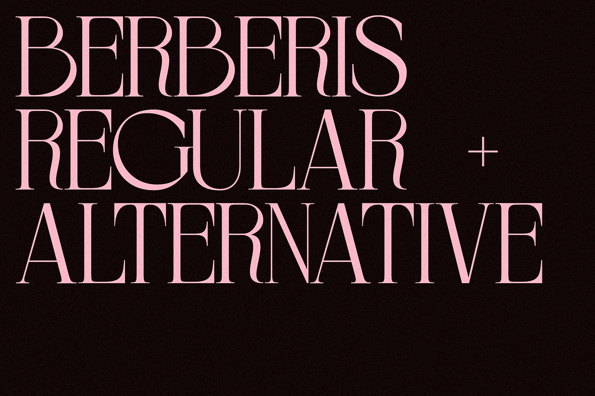 BERBERIS - Display Unique Serif, a Serif Font by Misha Sova (Photo 3 of 14)