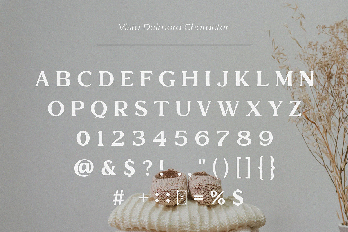 Vista Delmora - Modern Serif Font, a Serif Font by TypeLogue (Photo 4 of 5)