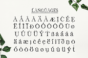 Quoth Font, a Serif Font by Storyteller Design (Thumbnail 8 of 9)