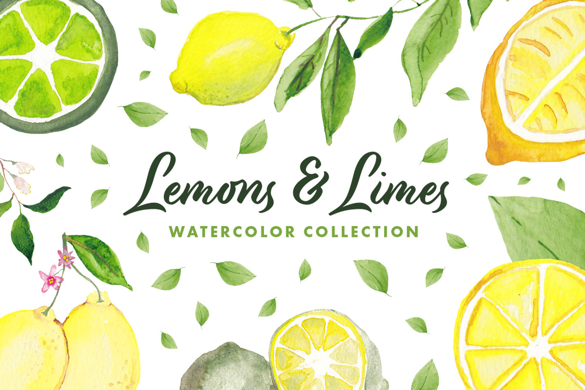 Lemons & Limes Watercolor Collection, a Decorative Illustration by Spirit of Colors (Photo 1 of 6)