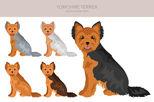 Yorkshire Terrier Clipart