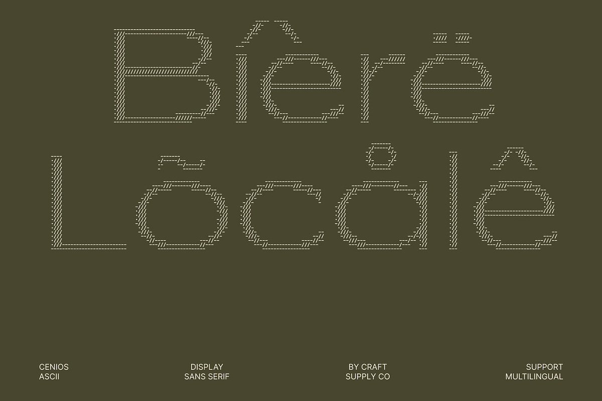 Cenios Ascii, a Sans Serif Font by Craft Supply Co. (Photo 7 of 8)