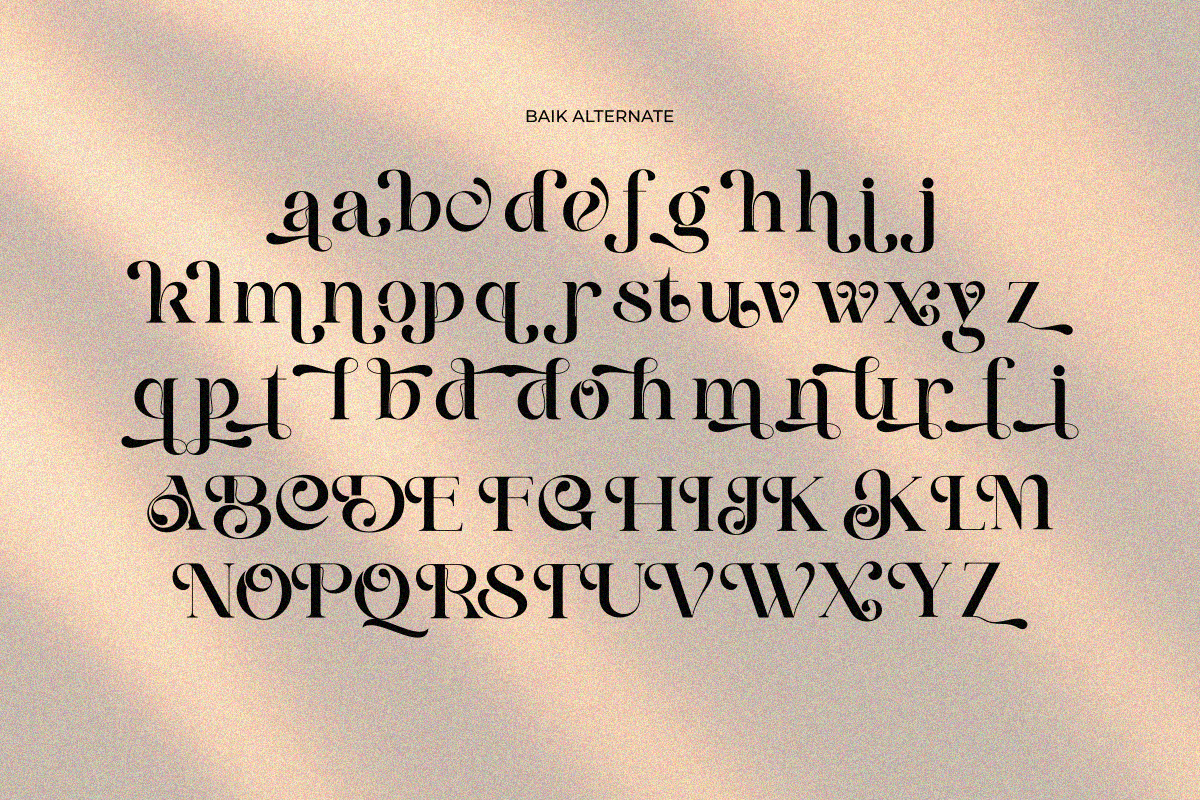 Baik, a Serif Font by zaaintype (Photo 4 of 10)