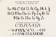 Sublimation, a Handwritten Font by FreshTypeINK (Thumbnail 3 of 8)