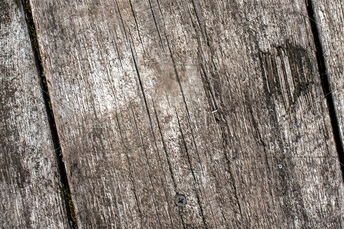 Natural wood texture patterns, a Background Photo by Schreibikus (Photo 3 of 8)