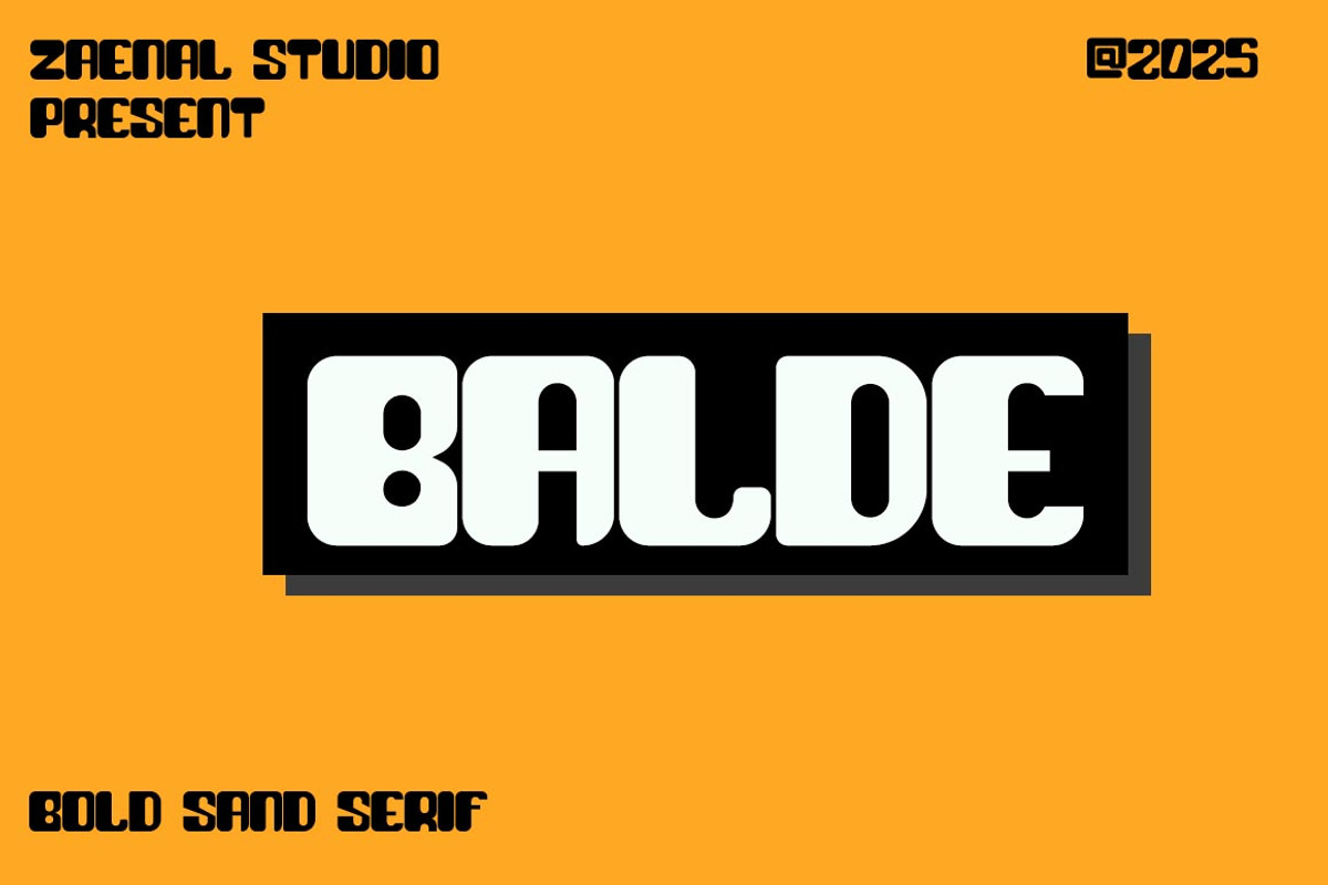 BALDE, a Serif Font by Zaenal Studio (Photo 1 of 10)