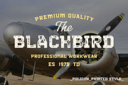 Poligon, a Sans Serif Font by Larin Type Co. (Thumbnail 3 of 10)