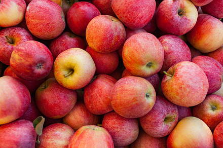 Fall autumn red apple harvest stock photo containing happy and halloween