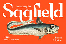 Sagfield Modern Serif Font
