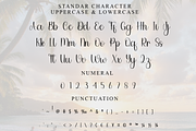 Autumn, a Handwritten Font by InermediaSTUDIO (Thumbnail 7 of 8)