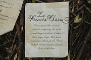 Enchanted Vintage Distressed Script, a Script Font by Littlehand (Thumbnail 6 of 9)