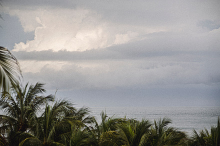 Palm trees, clouds and the sea