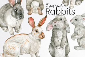 Watercolor white bunny clipart