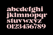 Siency Display, a Serif Font by InkwellTypeCo (Thumbnail 3 of 11)