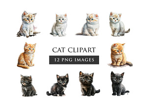 Cat PNG Clipart