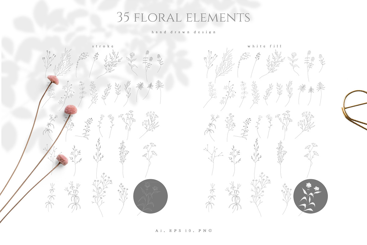 DRIED BOTANICALS COLLECTION, a Decorative Illustration by Luna Dreams (Photo 9 of 13)