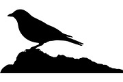 Forest Sky Birds Illustration Vector, an Animal Illustration by Designer_Momina (Thumbnail 16 of 21)