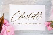Berly Clarisa Signature Handwriting, a Handwritten Font by CreateBigSupply (Thumbnail 4 of 8)