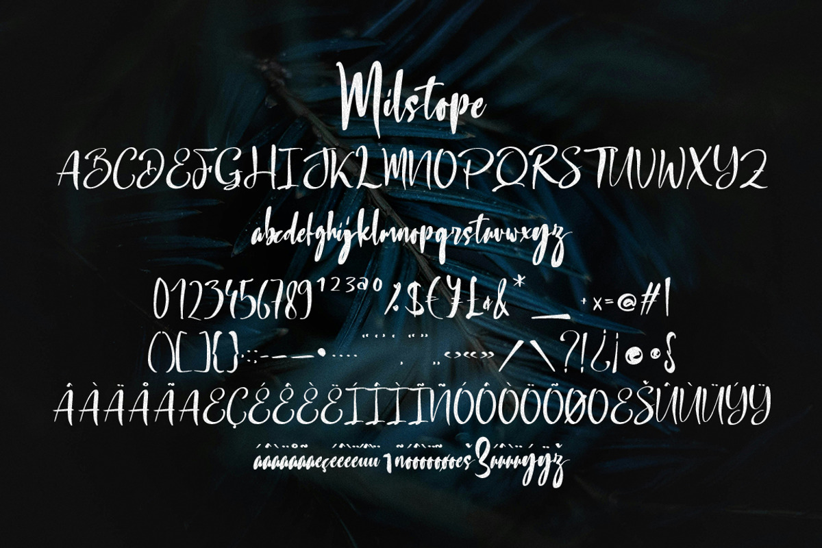 Milstope, a Handwritten Font by Megatype (Photo 8 of 9)