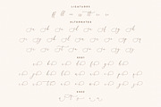 August Sterling Beauty Calligraphy, a Script Font by Storytype Studio (Thumbnail 14 of 15)