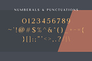 Monica Miller - Serif Typeface, a Serif Font by Morisco (Thumbnail 4 of 9)