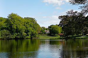 Tranquil lakeside scene with lush green trees and blue sky. Copenhagen, Denmark, a Photo by AS photostudio