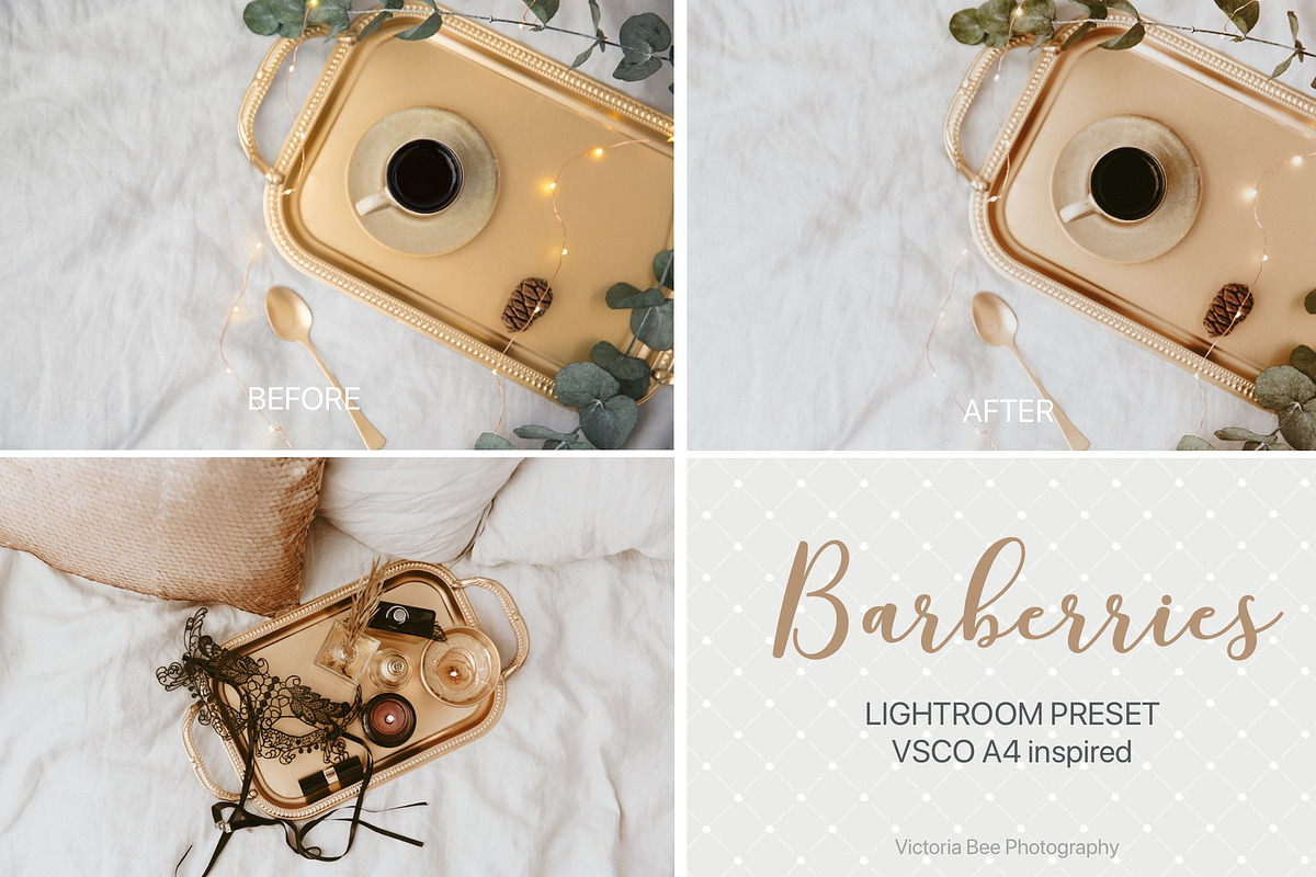 Desktop Lightroom Presets BARBERRY preview 8