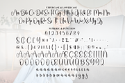 Delightful | Script Font, a Handwritten Font by Scratchones (Thumbnail 7 of 8)