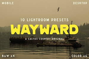 Wayward Lightroom Presets
