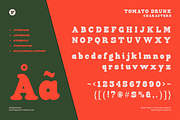 Tomato Drunk - Groovy Round Retro, a Serif Font by roomspace creative lab (Thumbnail 14 of 14)