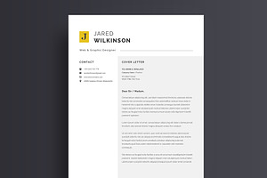 Professional Word Resume / CV