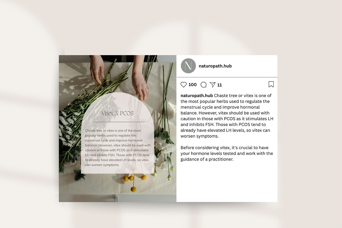 Hormone Instagram Posts Canva preview 5