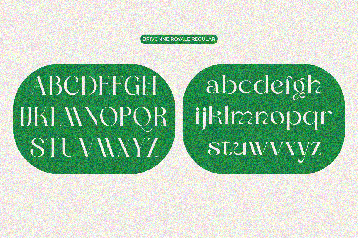 Brivonne Royale, a Serif Font by zaaintype (Photo 8 of 12)