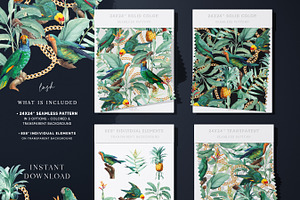 Mint Tropical Parrots Paper Pack