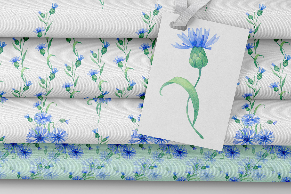 Blue cornflowers bundle, a Decorative Illustration by EshaStudio (Photo 10 of 15)