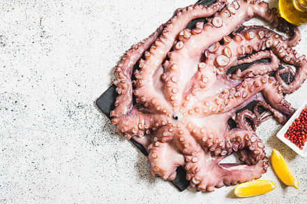 raw fresh octopus, a Food & Drink Photo by Ivanna