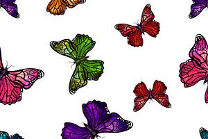 Different Colorful Butterflies