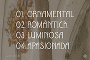 Sevilla - Art Deco Serif, a Serif Font by Alubia design (Thumbnail 7 of 12)