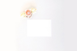 Blushing Bride 4