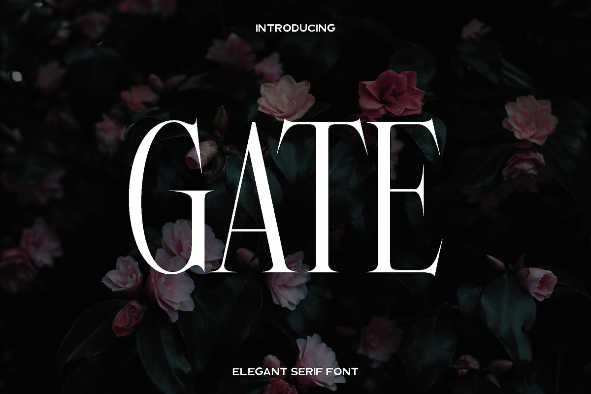 Gate - Modern Serif Font, a Serif Font by Luna Shop (Photo 1 of 6)