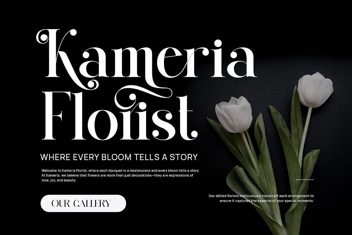 Qid Bronste Elegant Serif, a Serif Font by Perfectype (Photo 4 of 9)
