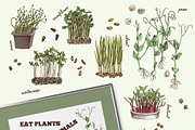 Natural food BUNDLE, a Food Illustration by handsketched (Thumbnail 14 of 26)
