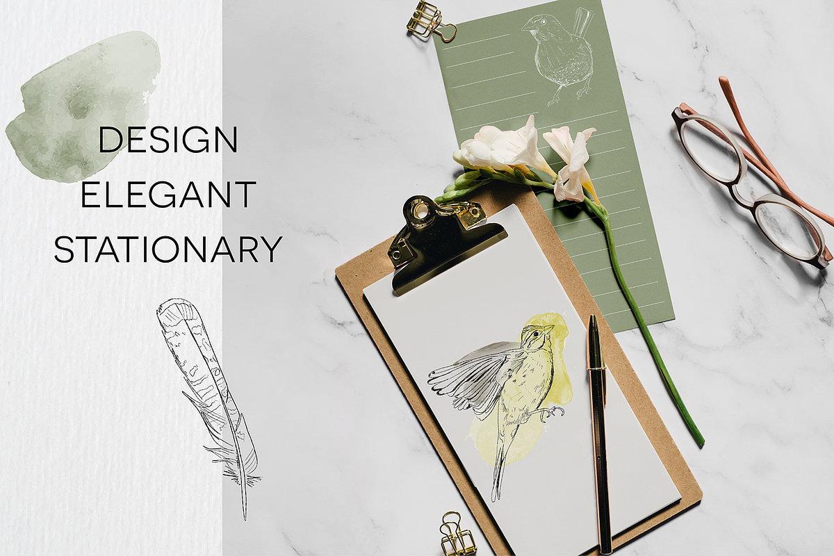 Birds of Africa Illustrations, a Decorative Illustration by CL Creative Studio (Photo 4 of 14)