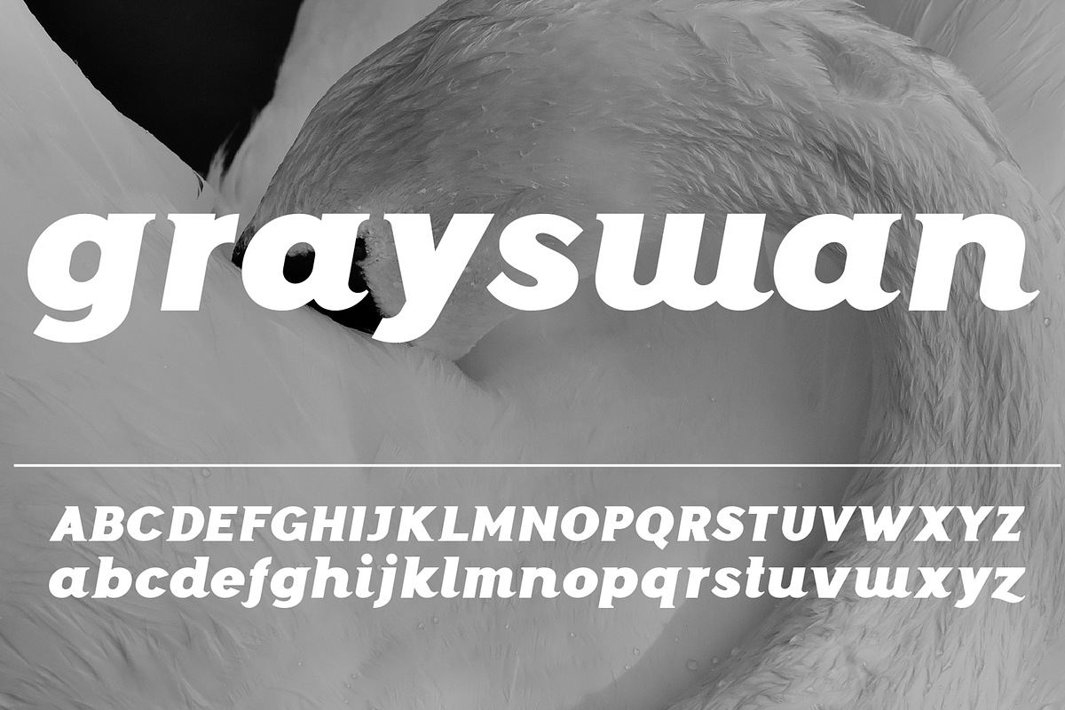 Grayswan font family, a Serif Font by vlad.berla (Photo 3 of 8)
