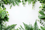 99 Frames of green leaves, a Nature Photo by Handmadefont (Thumbnail 40 of 100)