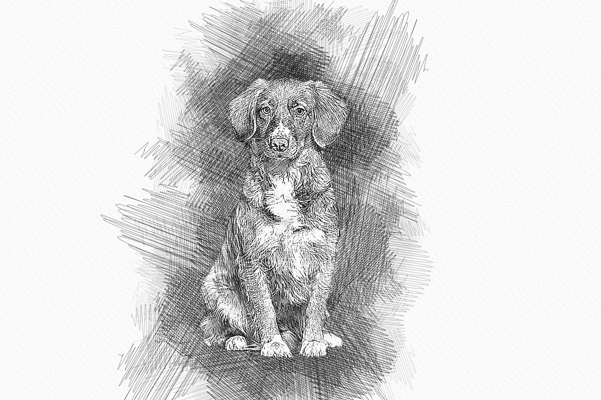 Photoshop Photo Art Effect, an Action Add-On by Photoshop Action (Photo 17 of 18)