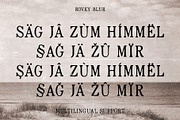 Rovey Blur, a Serif Font by Craft Supply Co. (Thumbnail 6 of 8)