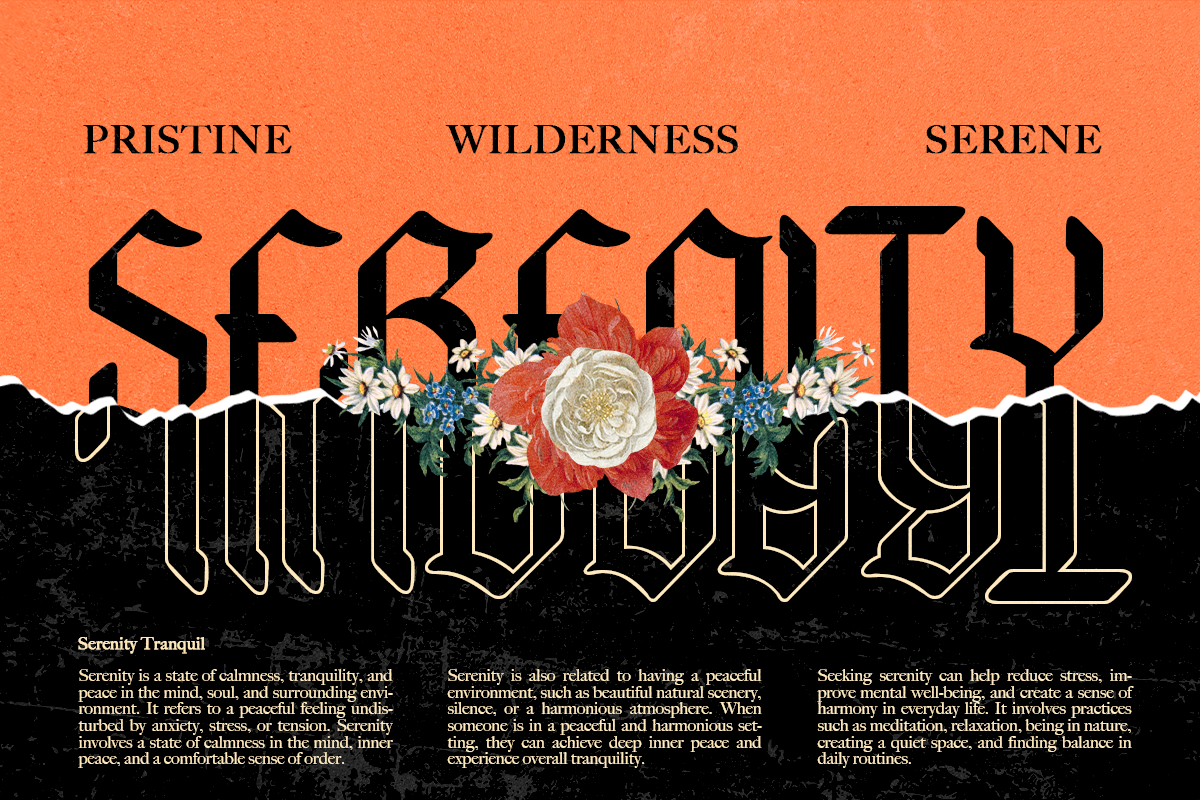 Hyacinth - Modern Blackletter, a Blackletter Font by Dharmas Foundry (Photo 6 of 15)