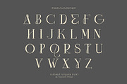 Emery - Modern Serif Font, a Slab Serif Font by Cruzine (Thumbnail 5 of 6)