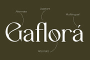 Quelgira - Serif Typeface Font, a Serif Font by Rishsketch (Thumbnail 10 of 15)